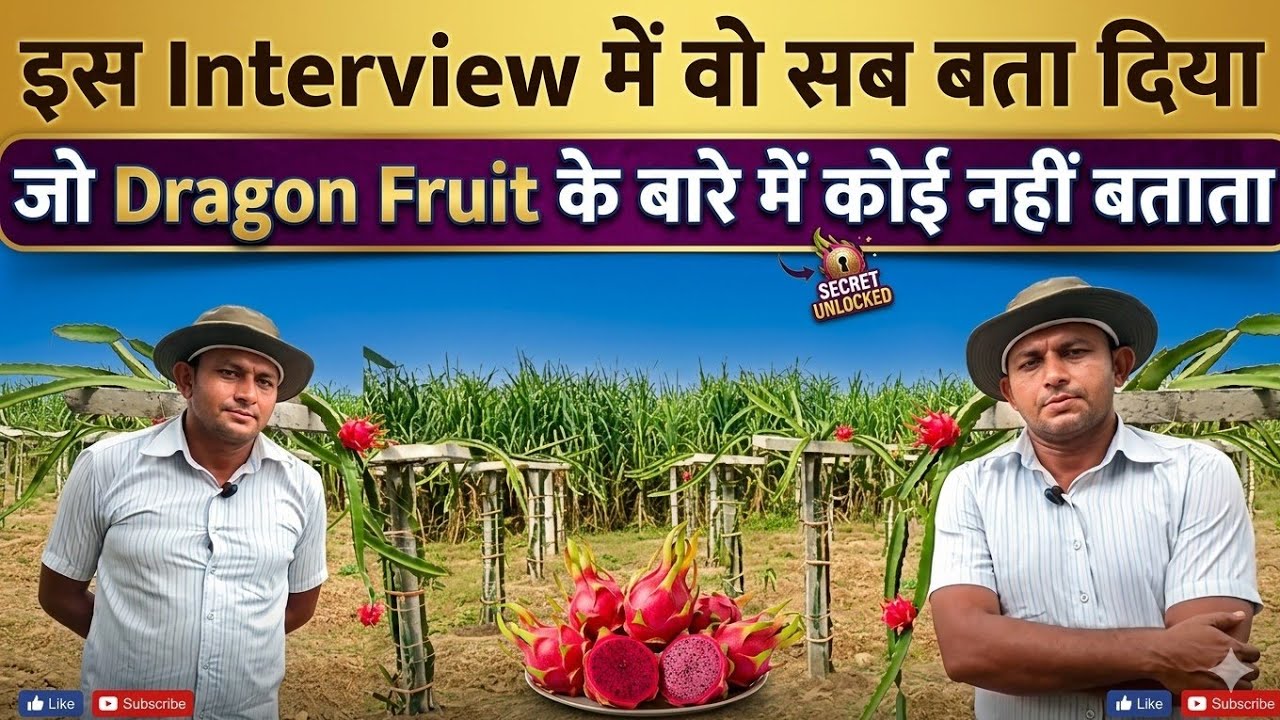 इस Interview में वो सब बता दिया, जो Dragon fruit के बारे में कोई नहीं बताता 
