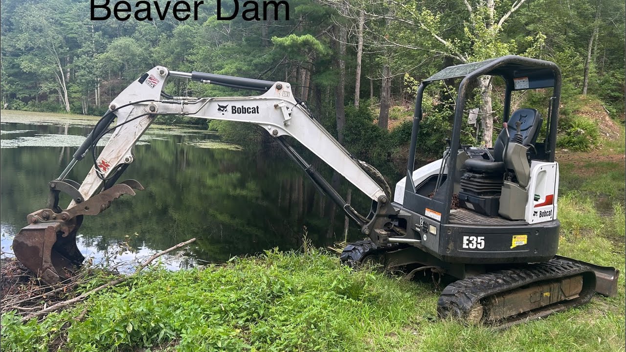 How to Breach a Beaver Dam with a Bobcat E-35 Excavator with Hydraulic Thumb