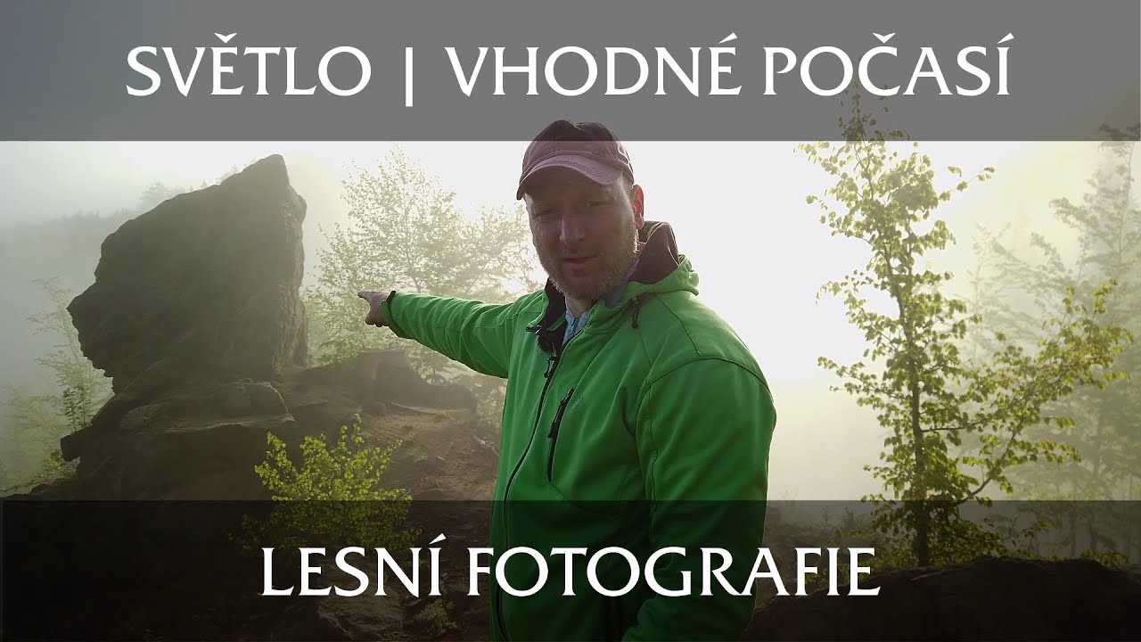 Jak na světlo v lesní fotografii | Vhodné podmínky pro focení v lese