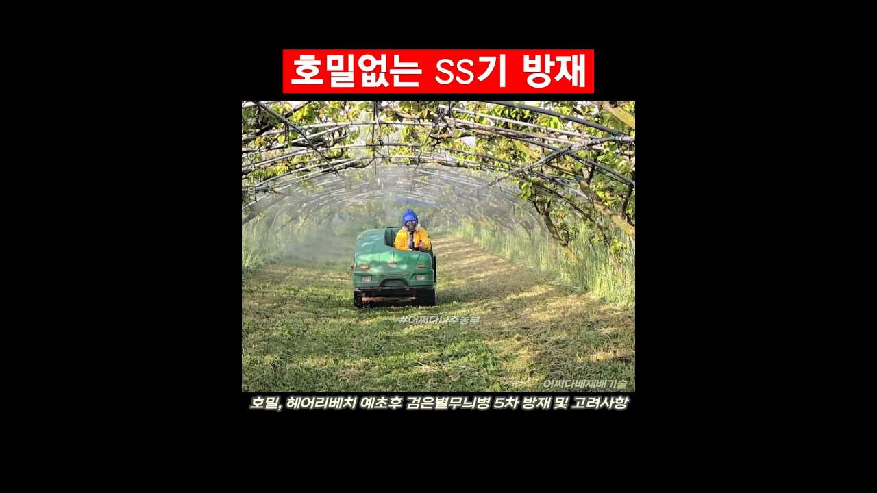 호밀없는 SS기 방재