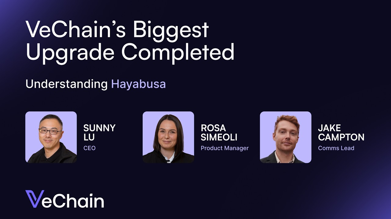 VeChain Hayabusa Deep Dive: Improved Tokenomics, StarGate Staking, DPoS & New Validators
