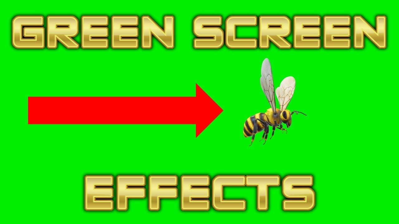 Green Screen Effects!  Wasp