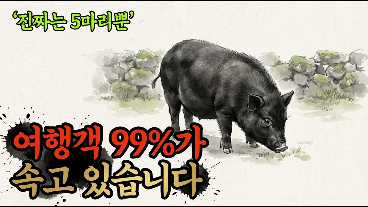 제주도 흑돼지, 진짜 토종은 1986년에 5마리밖에 안 남았습니다
