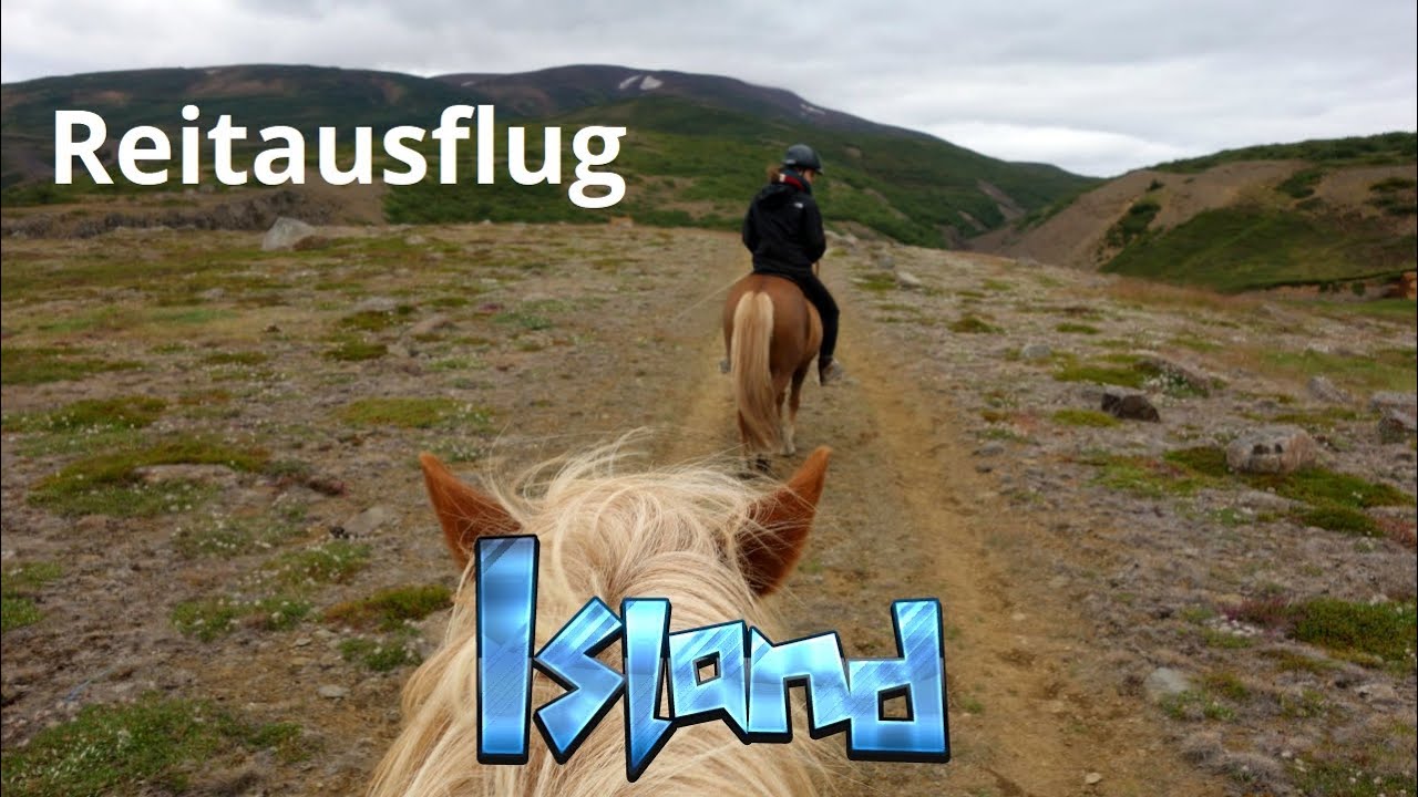Reitausflug mit Polar Hestar - Island #14