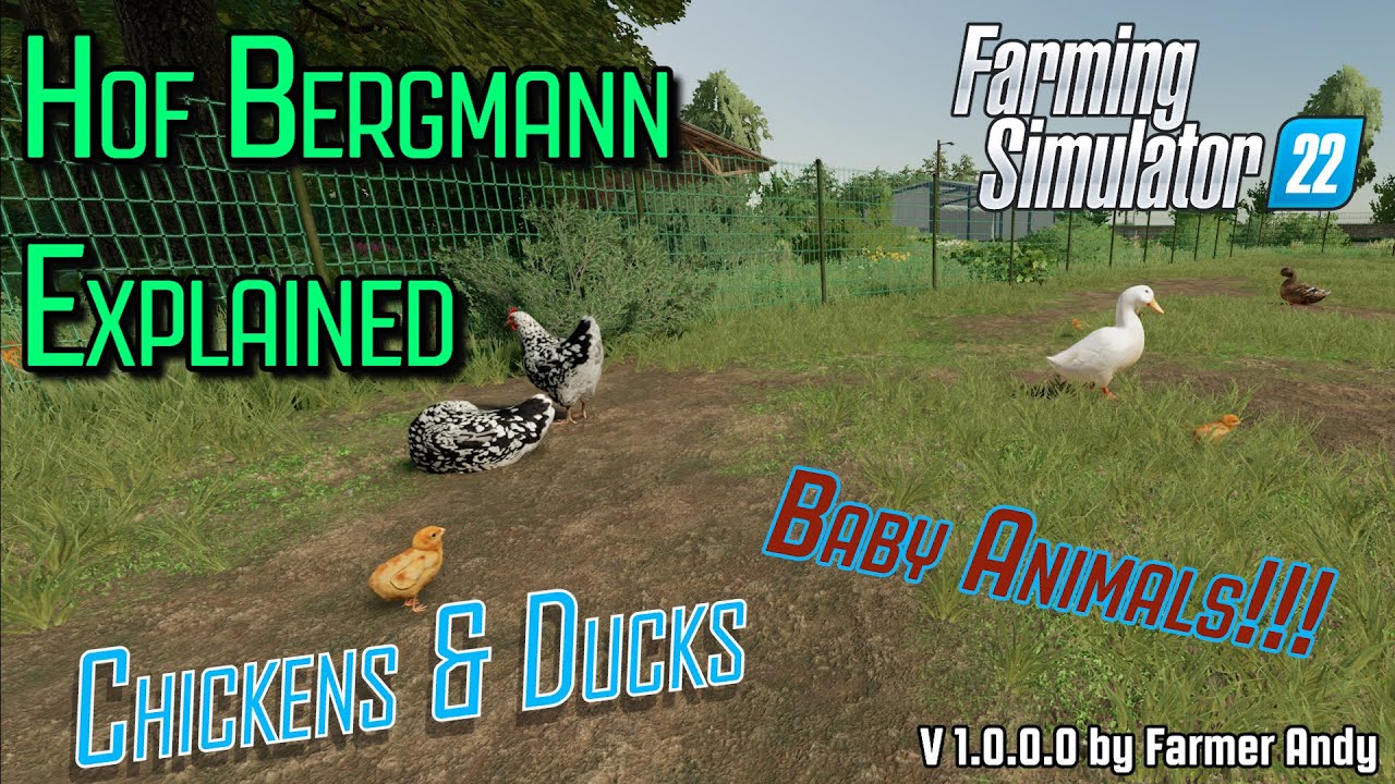 👨🏼‍🌾 FS22 Hof Bergmann Explained 👨🏼‍🌾 Chickens & Ducks  *Chicks & Ducklings*