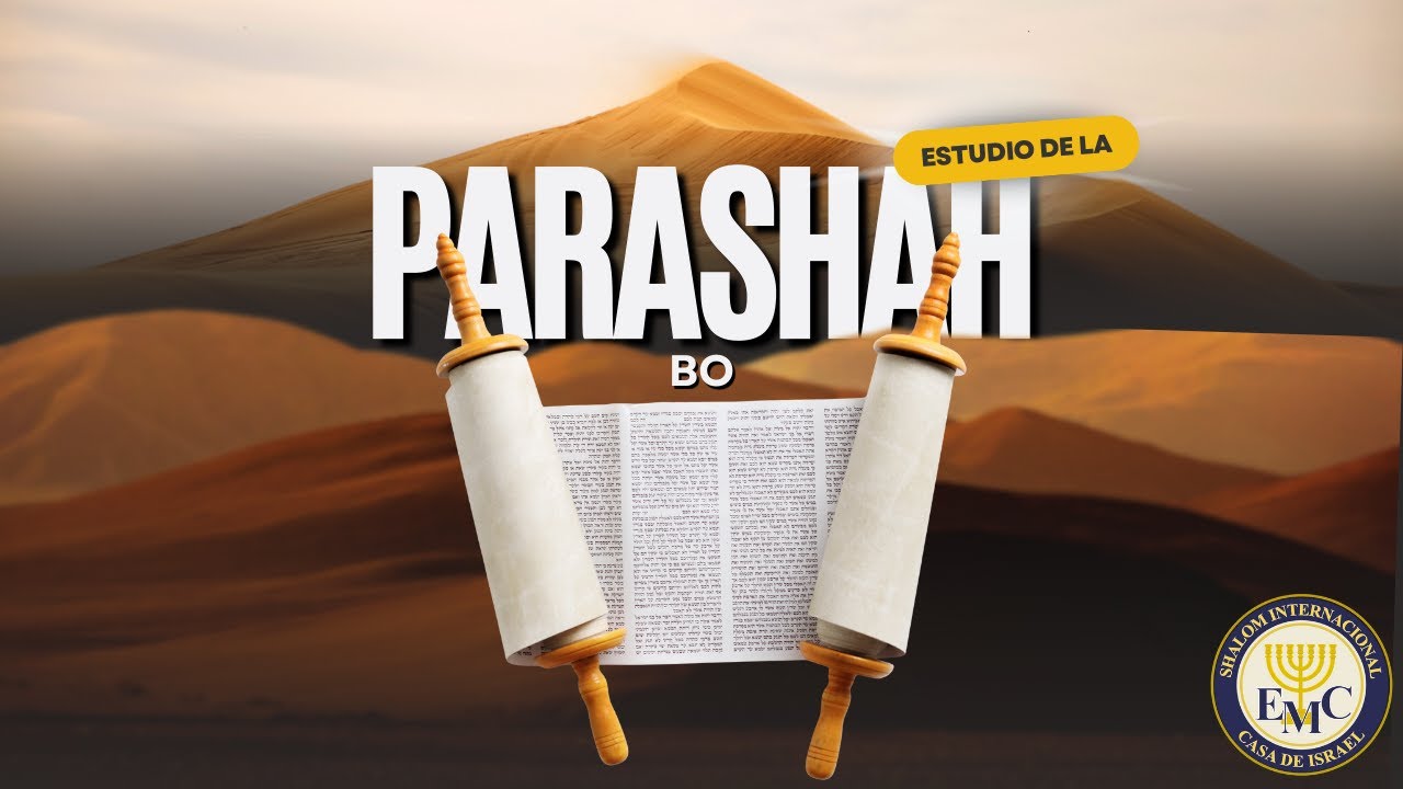 BO בֹּא - VEN - ESTUDIO DE LA PARASHAH - 5786