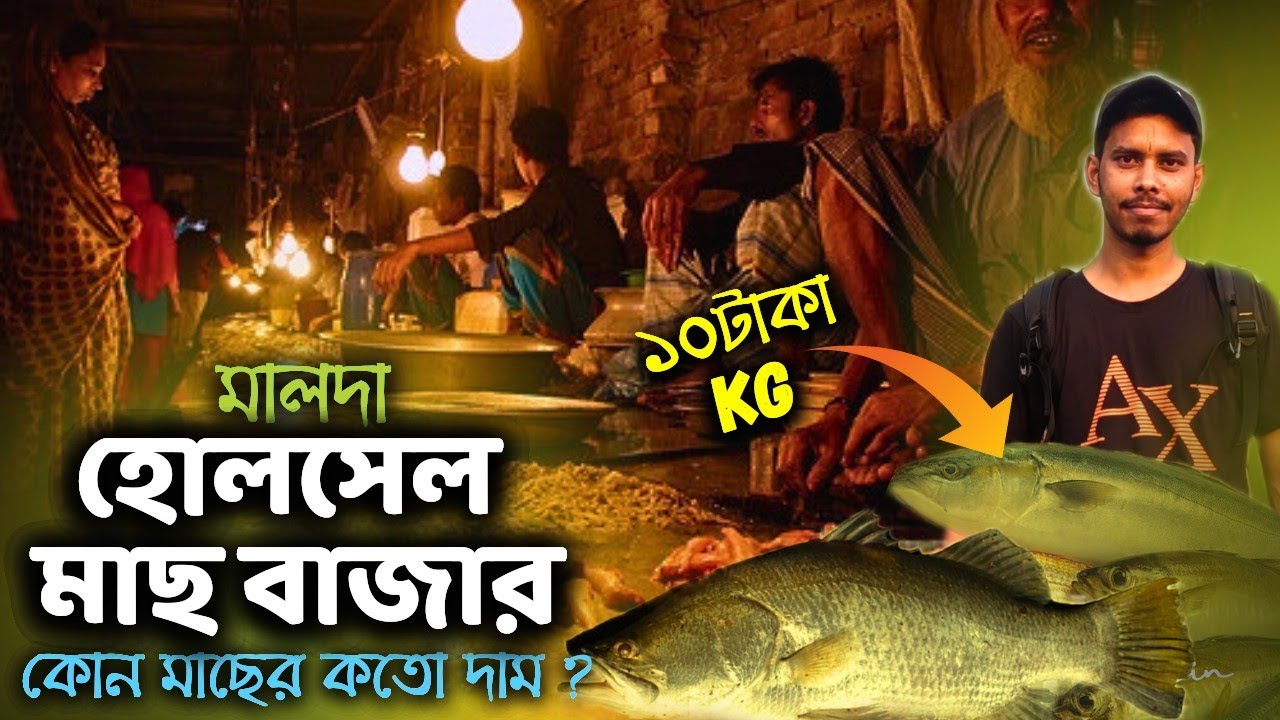 Fish Market: 💥১০টাকা কেজি মাছ 😱 মালদা হোলসেল মাছের আড়ত😱| Malda Fish Market | Malda Wholesale Market