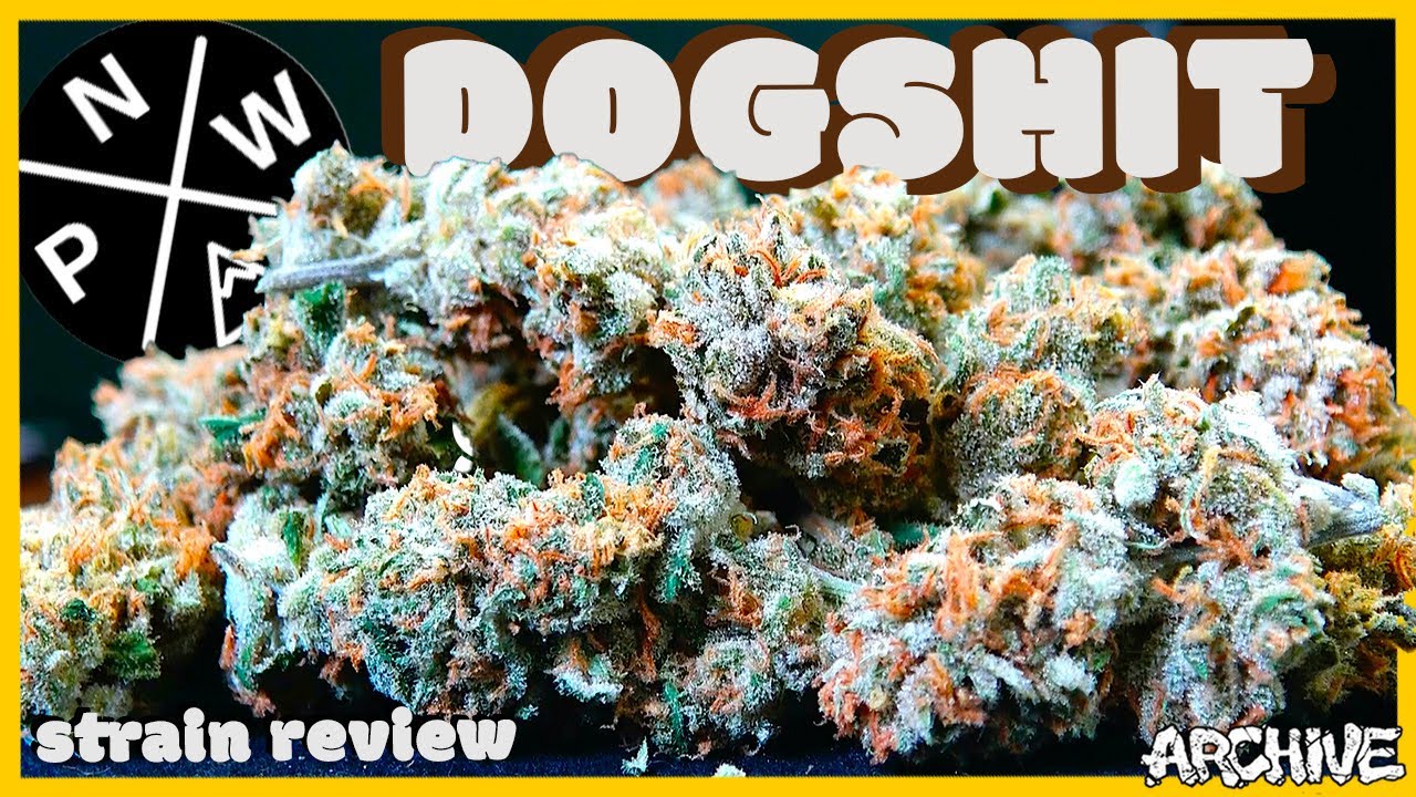 Dogshit - Strain Review