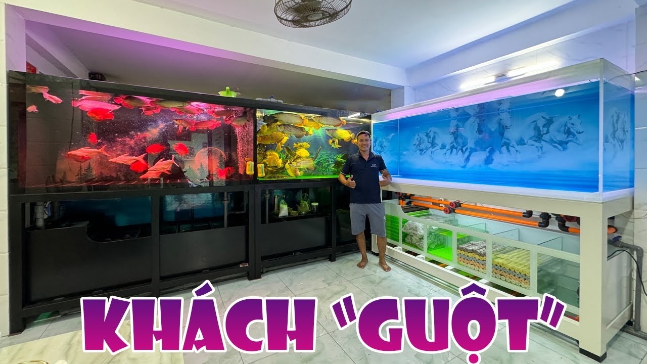 ĐỔI HỘ KHẨU cho bộ HỒ CNM vô tình gặp được nhà gia chủ không có gì ngoài cá và cá #hugoduong