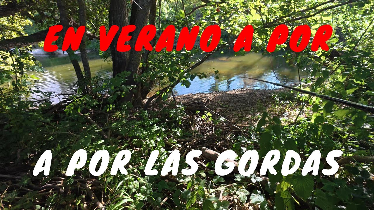 En verano buscando las gordas