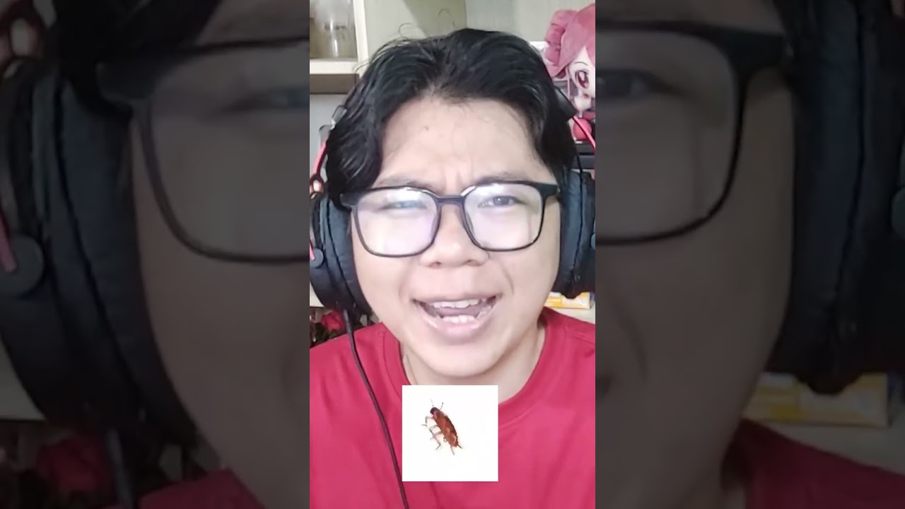 NHỆN?! #longhunter #funnymoments