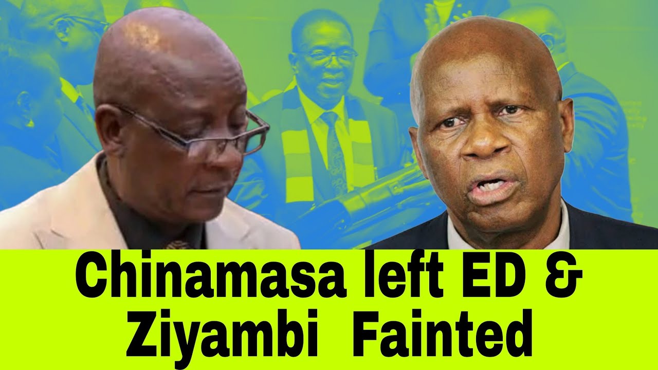 Chinamasa left ED & Ziyambi fainted
