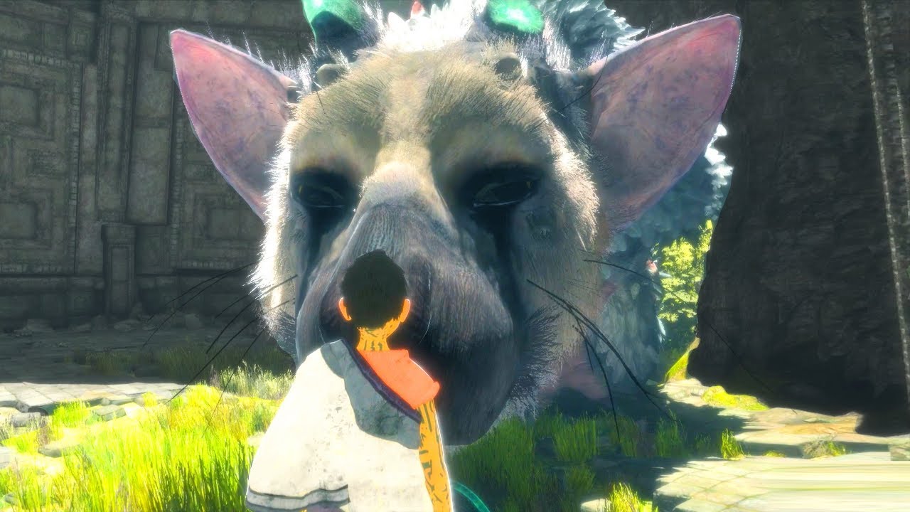 The Last Guardian Top 10 Cutest Moments