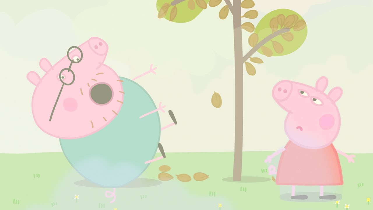 Daddy Pig Bumps Into A Foggy Tree 😵‍💫 🐽 Peppa Pig and Friends Full Episodes