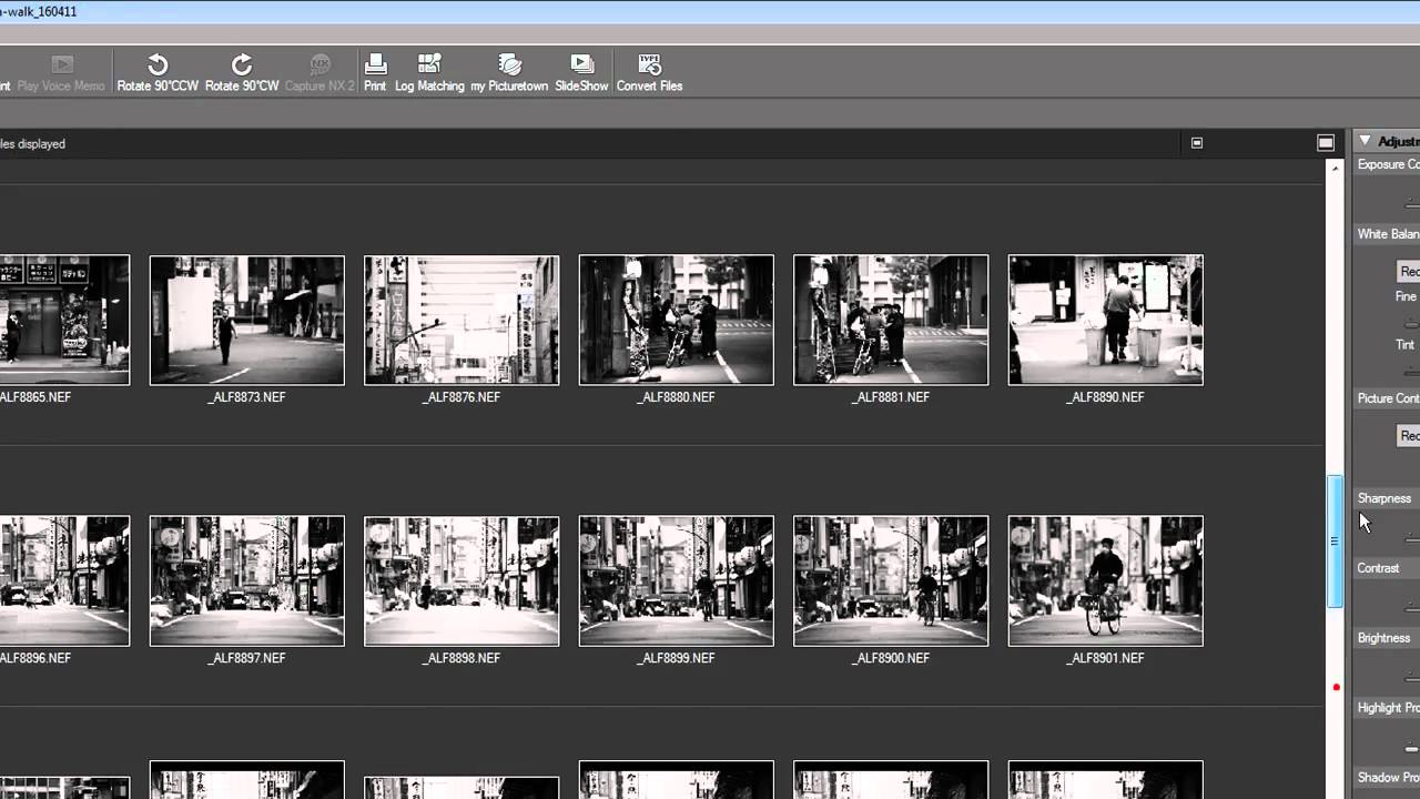Basic Digital Workflow Using Nikon ViewNX