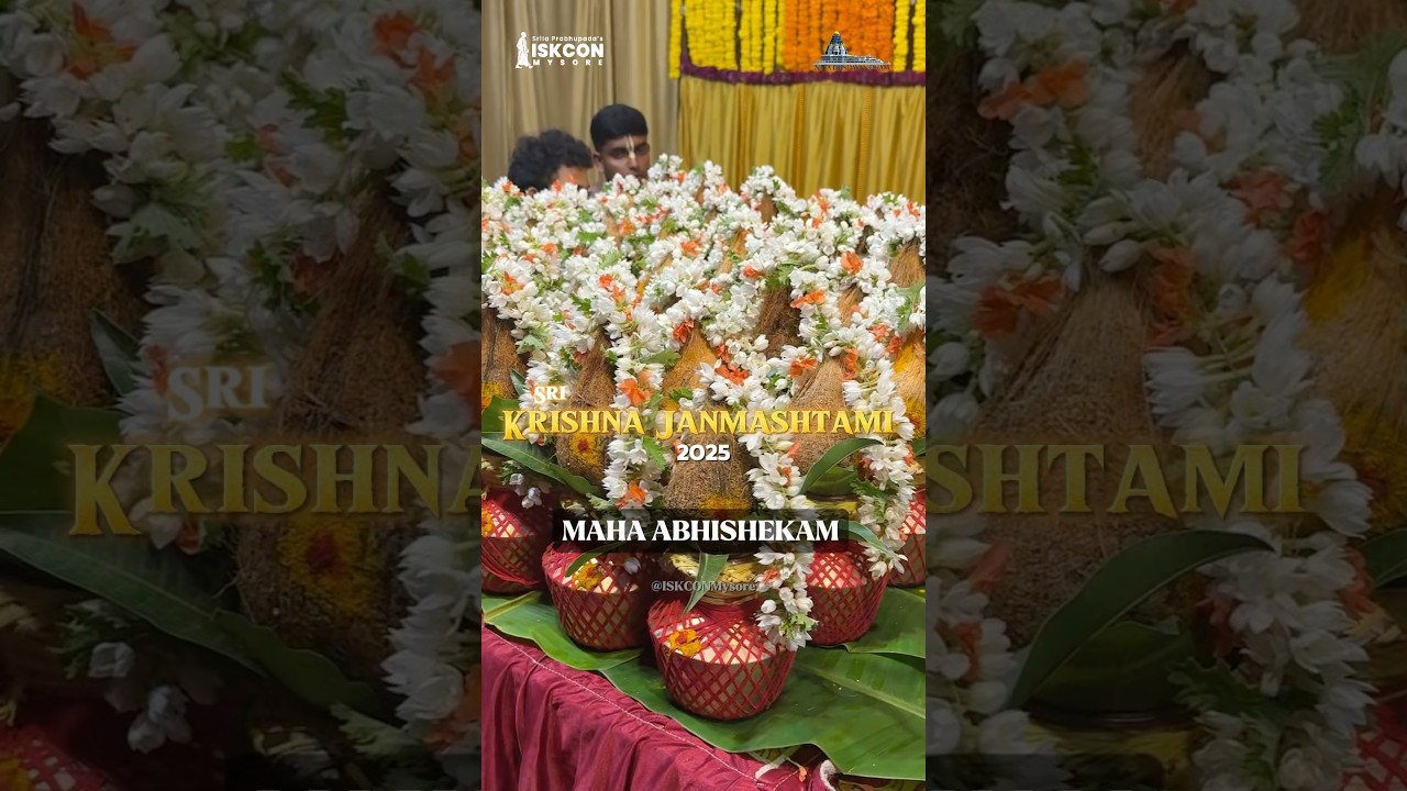 Janmashtami Maha Abhishekam 2025 - Highlights. #harekrishna #janmashtami2025 #iskcon #festival