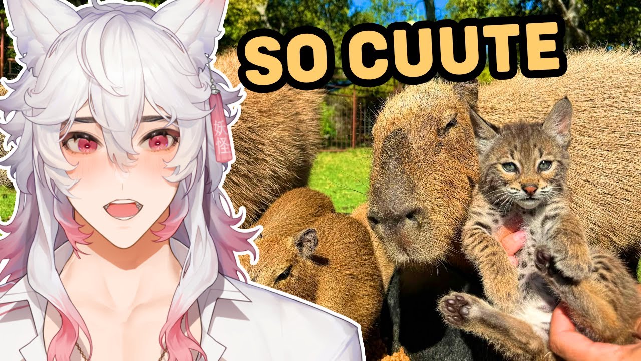 Rescuing a Baby Bobcat (to feed Capybaras) | The Urban Rescue Ranch React
