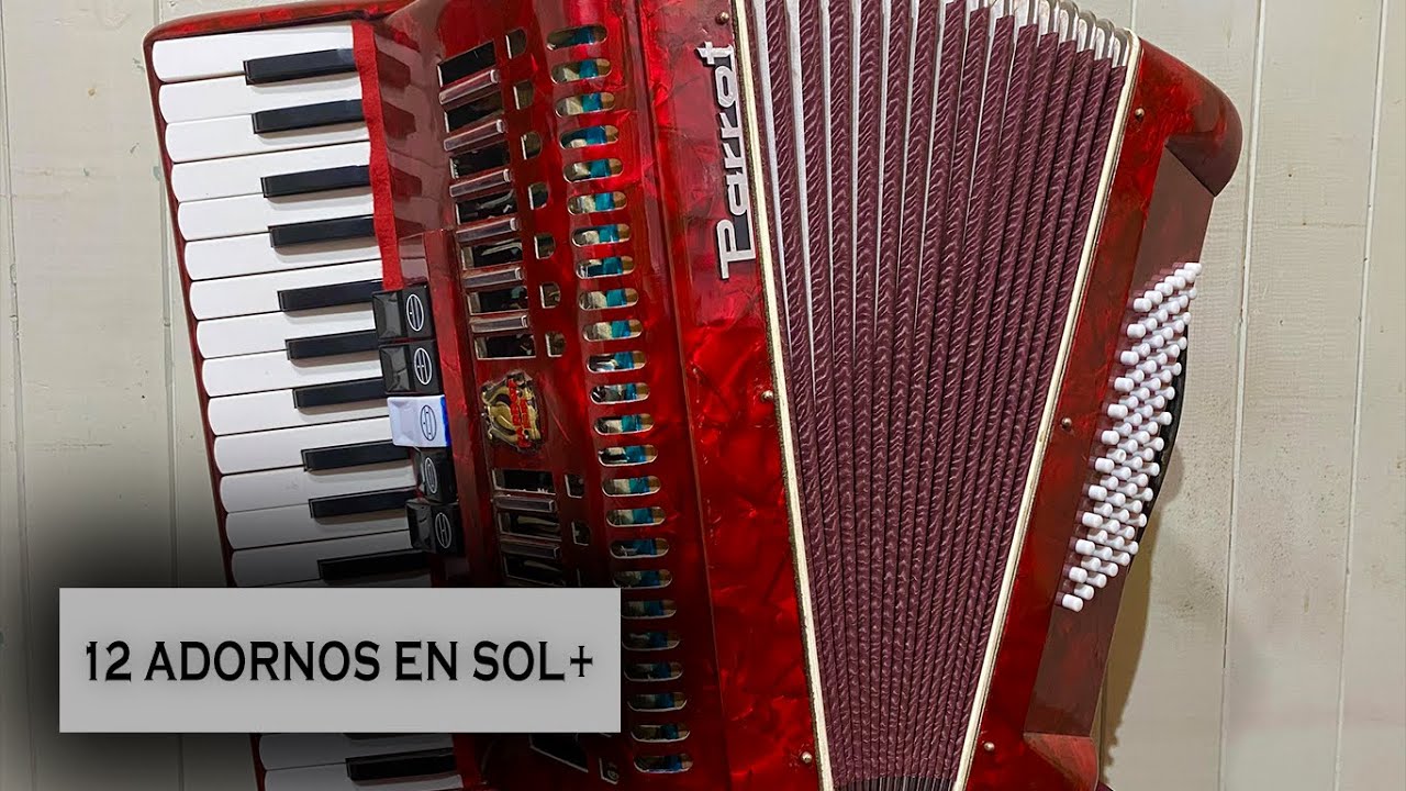 12 Adornos SOL+ Acordeón de teclas