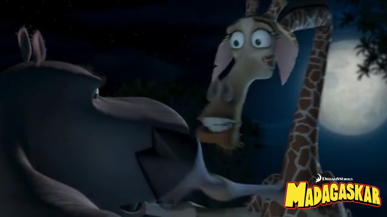 Madagaskar 2 | Zaloty Moto Moto A Malman | 8/12 PL RECENZJA