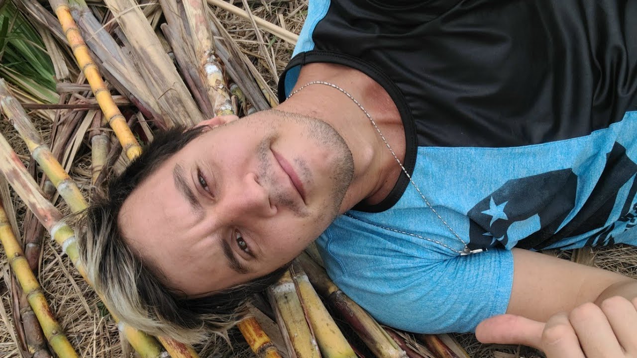 COMO SEMBRAR CAÑA de AZÚCAR.Caña de azucar cultivo. Plantar caña en CUBA. REALIDAD de CAMPOS de CUBA