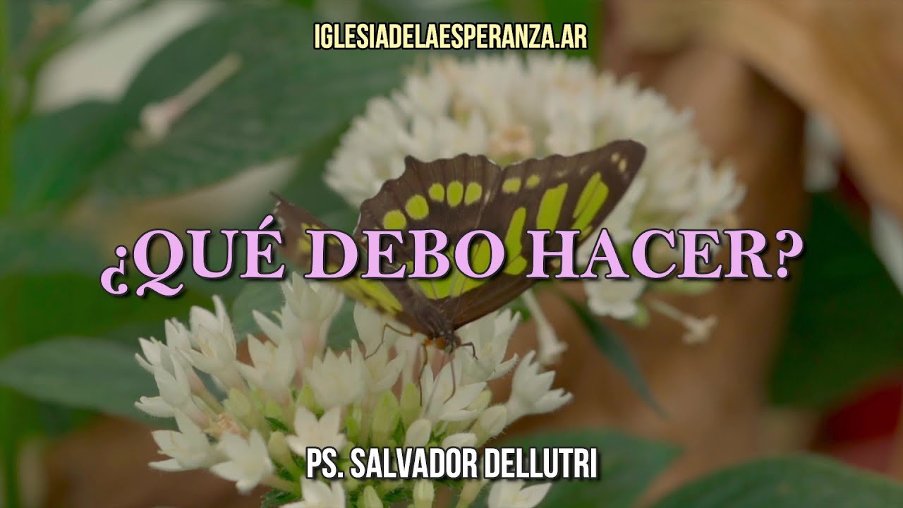 ¿Qué debo hacer?
