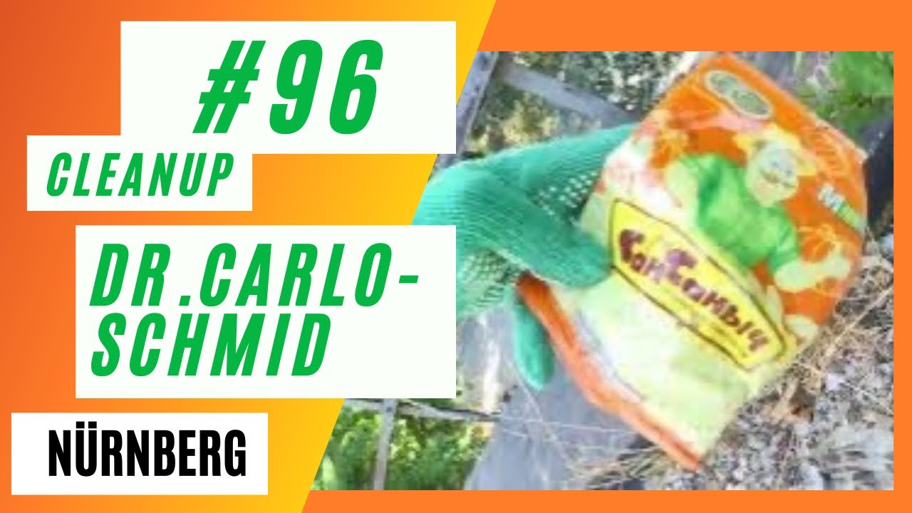 Cleanup #96 | Dr.-Carlo-Schmid-Stra&szlig;e N&uuml;rnberg |&nbsp;Ehrenamt