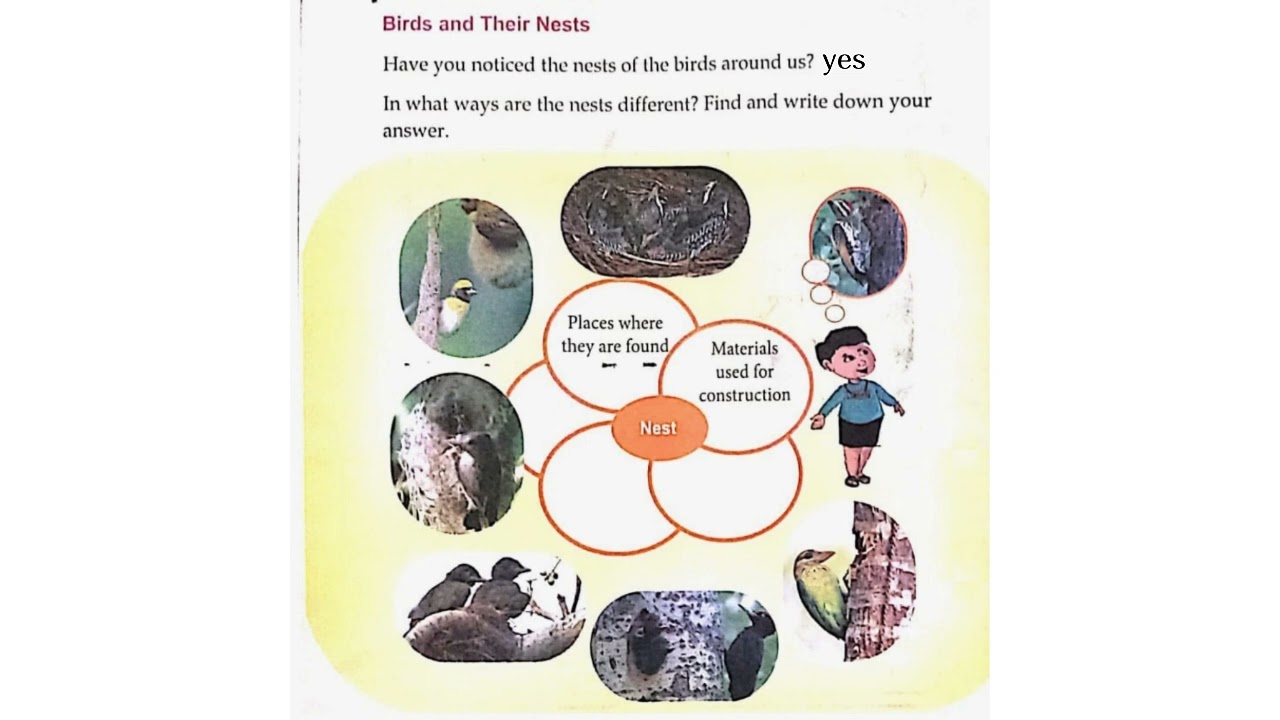 WINGED BUDDIES || LESSON 3 || EVS || CLASS 4 || KERALA SYLLABUS || NEW TEXTBOOK || PART 2 ||