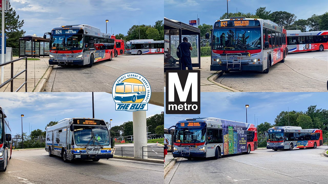 WMATA and Prince George's County Transit TheBus Compilation at New Carrollton station