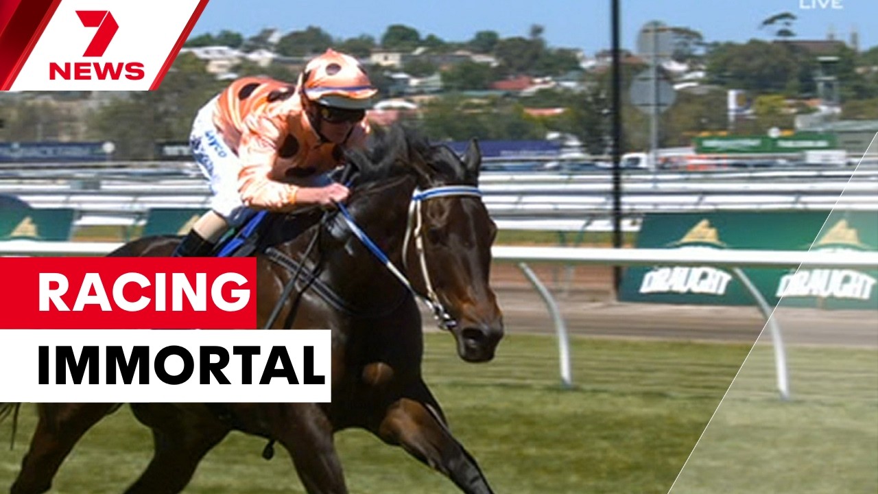 Exhibit at Flemington to honour the mighty Black Caviar | 7NEWS