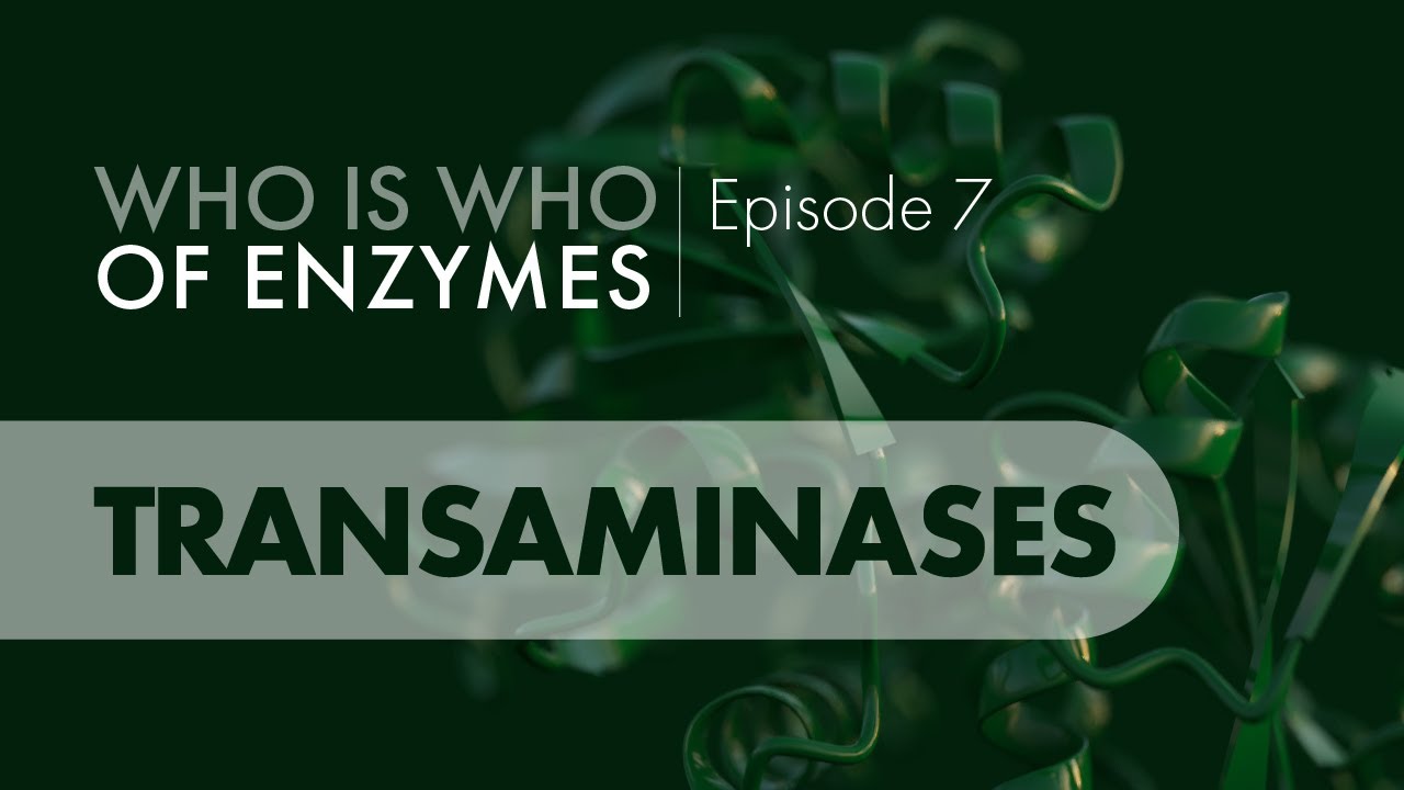 Who Is Who of Enzymes: Transaminases