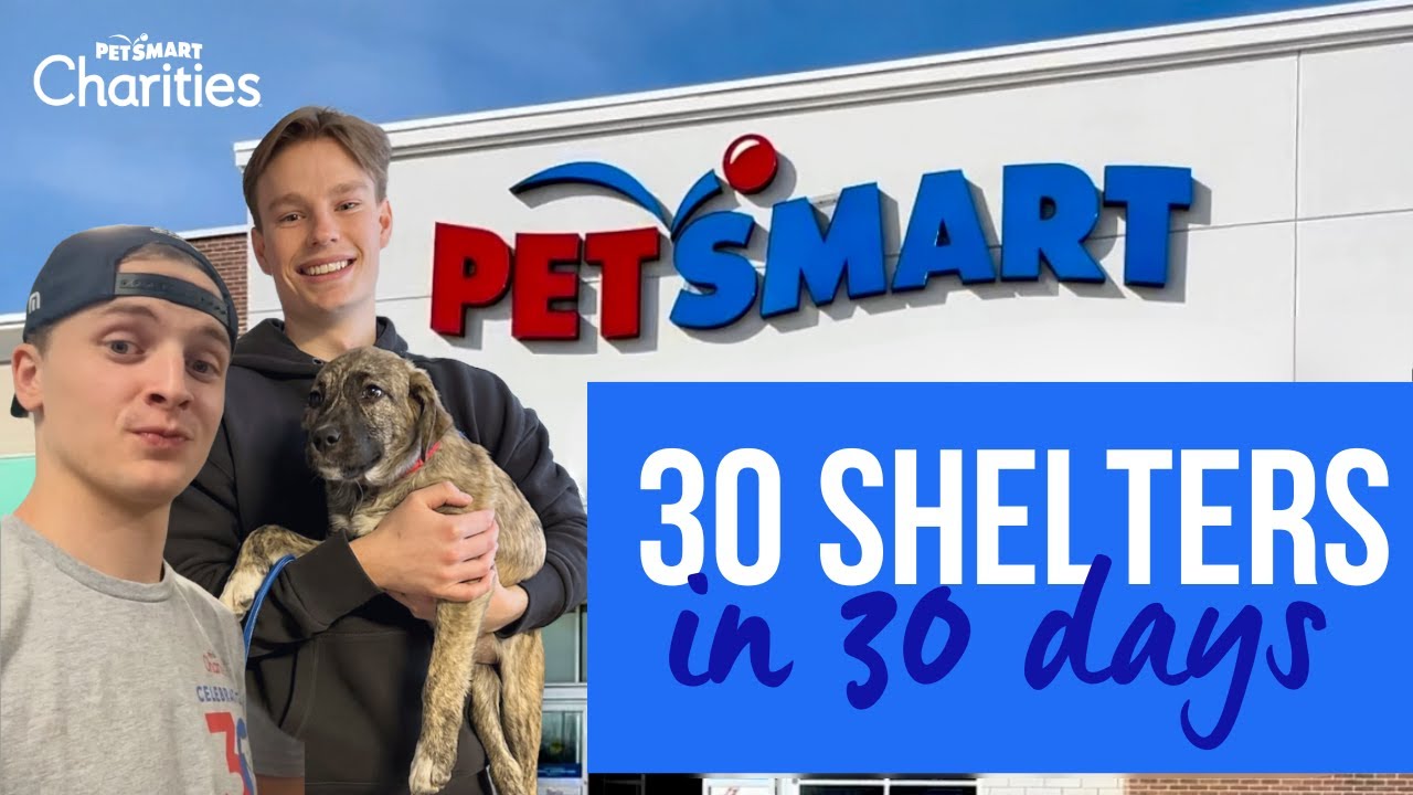 WE VISITED 30 SHELTERS IN 30 DAYS