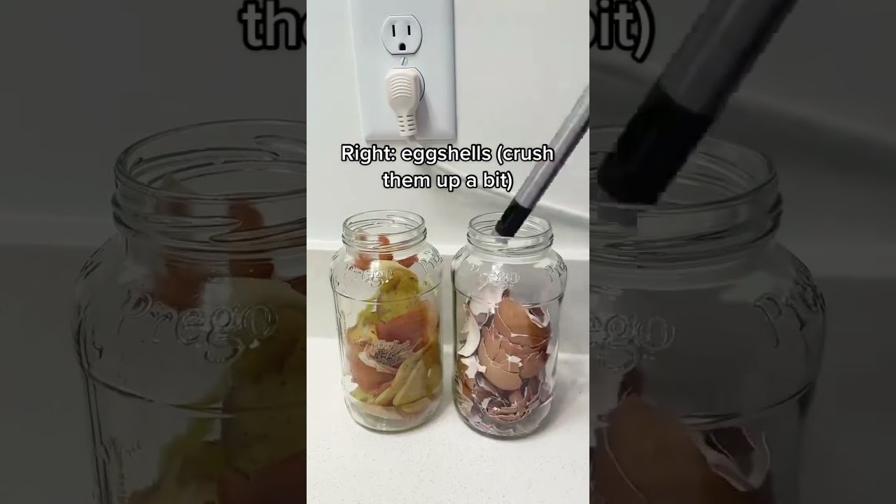 DIY Nutrient Water for Plants  - Use Kitchen Scraps to Feed Your Plants | DIY Fertilizer