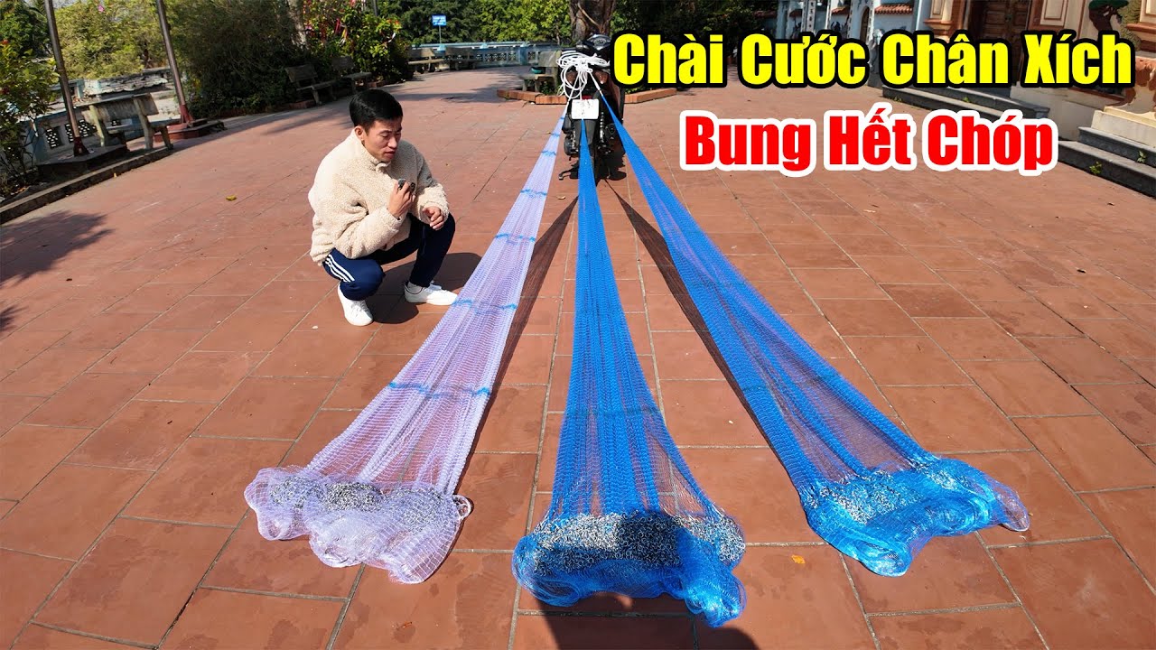 Chài Cước Thái Chân Xích | Bung Hết Chóp  Mắt 3cm / 3,5cm / 4cm #800k
