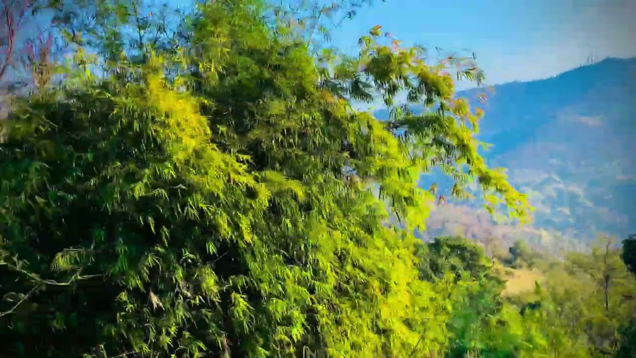 Anandpur Sahib to Naina devi | Anandpur Sahib to Naina devi Road View by Bus | नैना देवी |