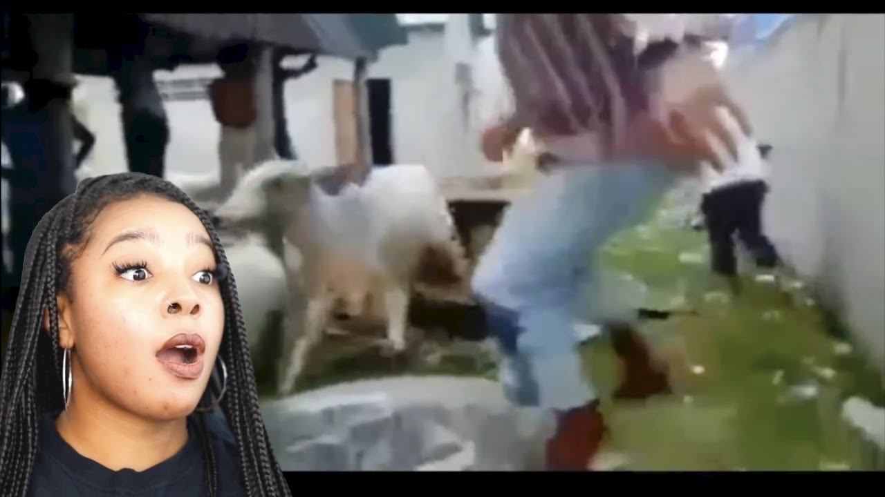 Videos That End UNEXPECTEDLY | Reaction