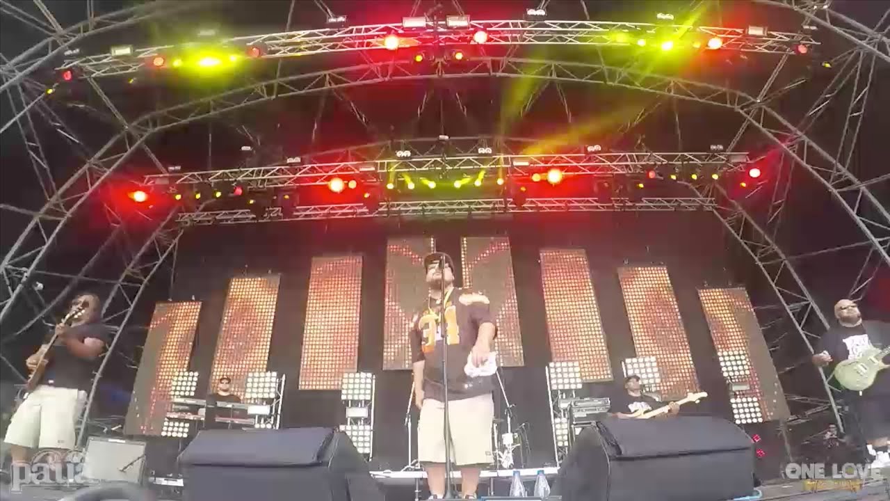 Paua  Live @ One Love NZ Festival 2016