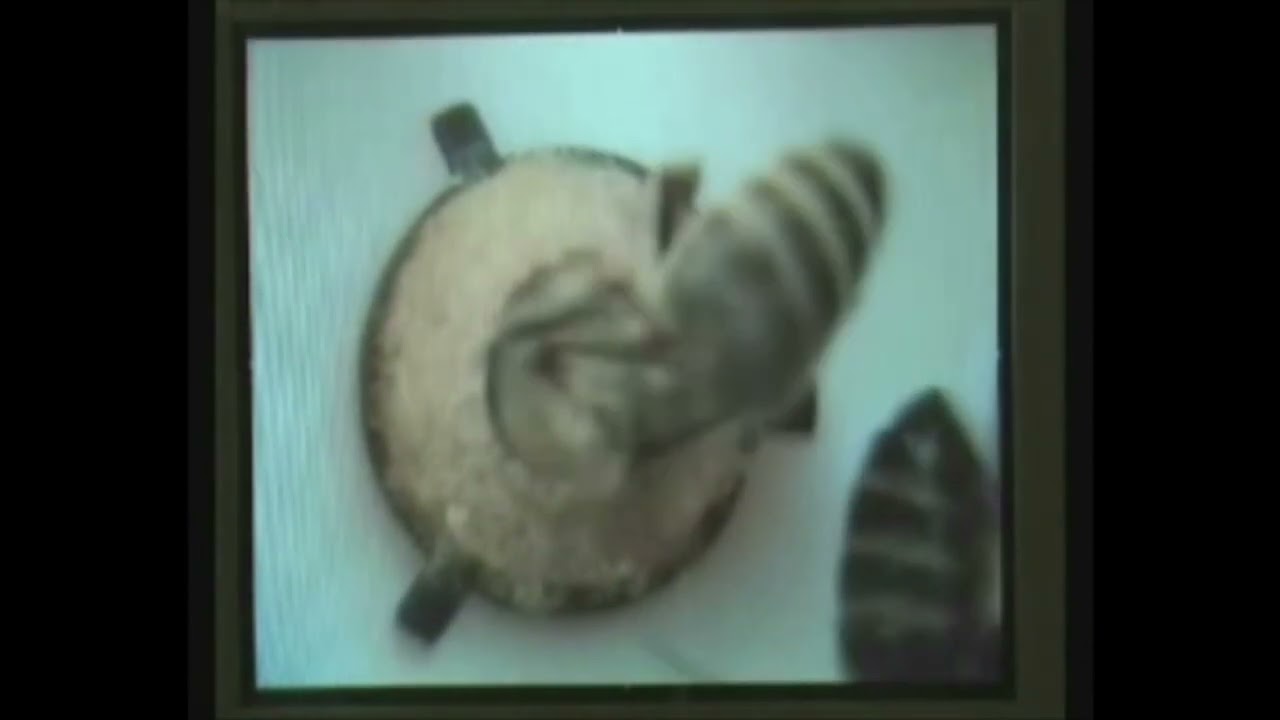 Ramka Jentera film instruktażowy