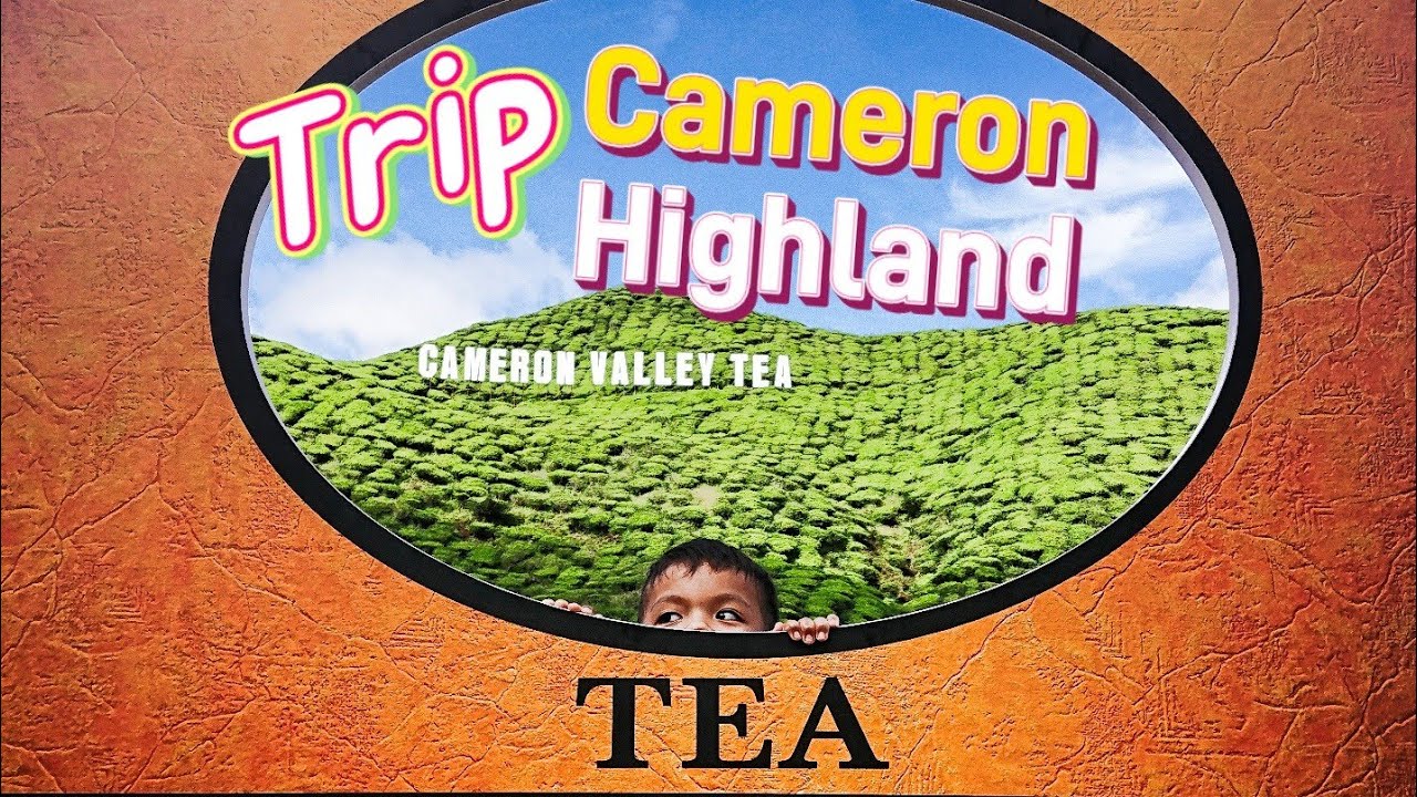 Jalan-Jalan Cameron Highland 2023 : Cameron Valley | Abang Strawberry | Zetter Suites | Kea Farm