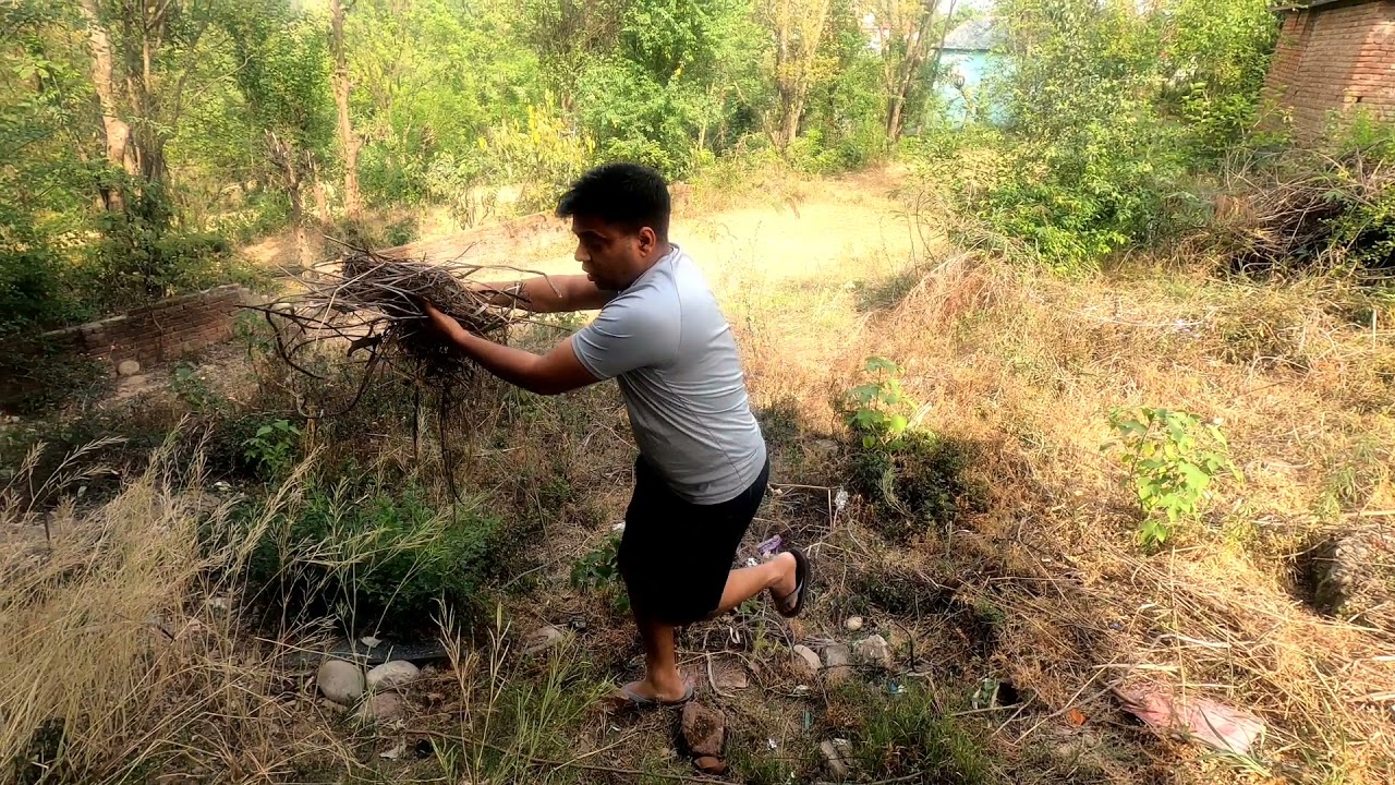 How to escape from Honey bees attack | Hamirpur (H.P)