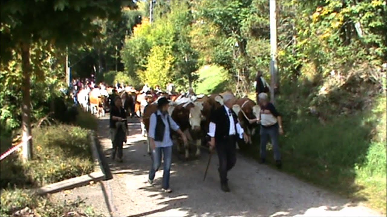 Désalpe St-Cergue_HD.wmv