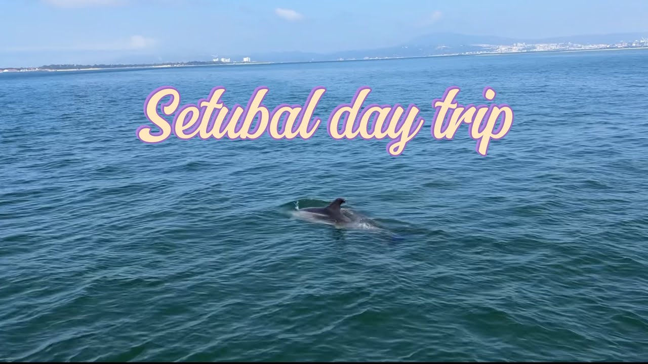 Setubal@ Marina&rsquo;s films
