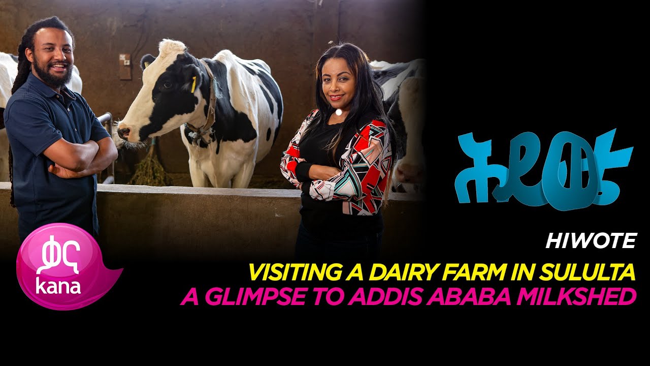 Visiting a Dairy Farm in Sululta |Hiwote