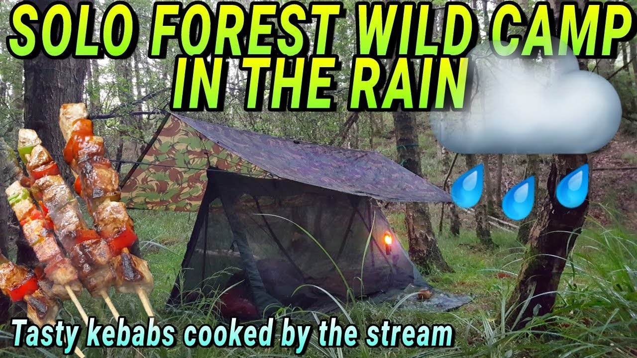 A rainy solo overnighter | DD 'A' frame mesh tent & British army basha | Delicious kebabs!
