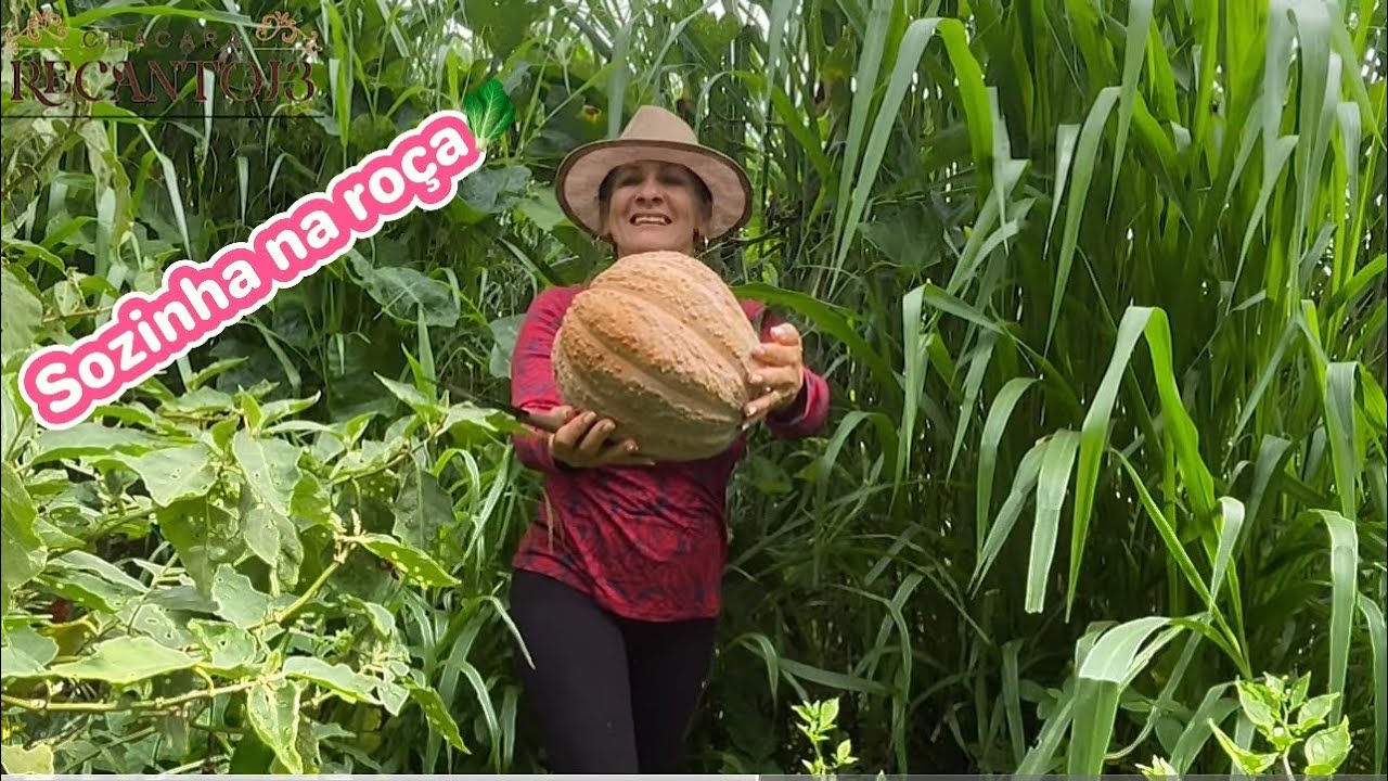 Entre os animais🐄🐕🐔🐟 e a horta🥬🌶️ ; um vlog calmo sozinha na roça.