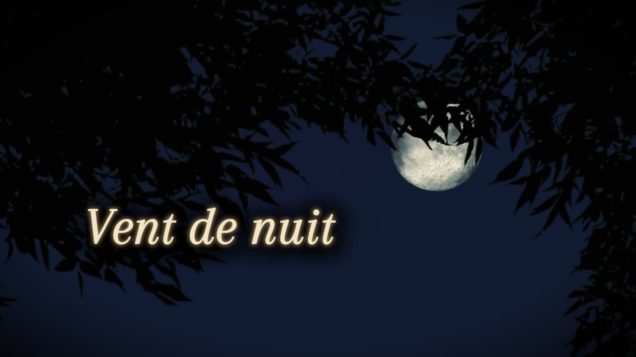 Vent de nuit | Official Music Video | Les nocturnes de Mélusine