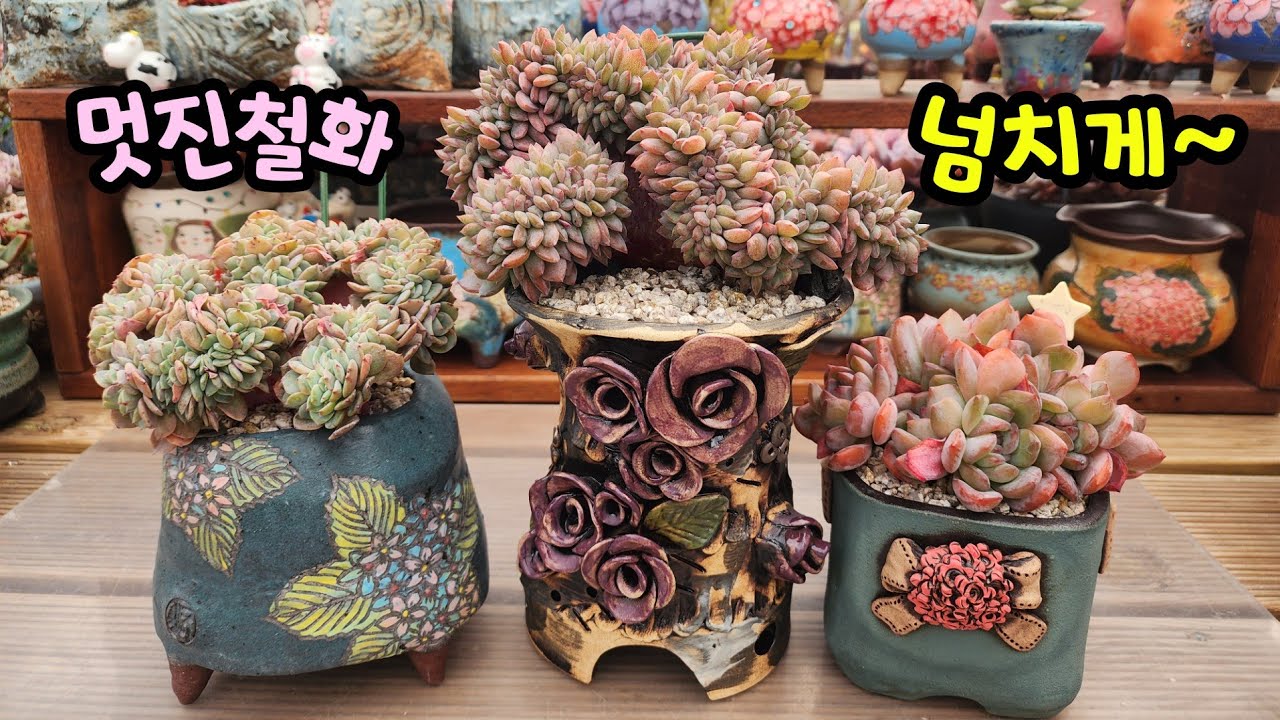 260307 멋쟁이철화!길이감있는롱분에넘치게넘치게~흔들흔들고정하기힘드네요😂