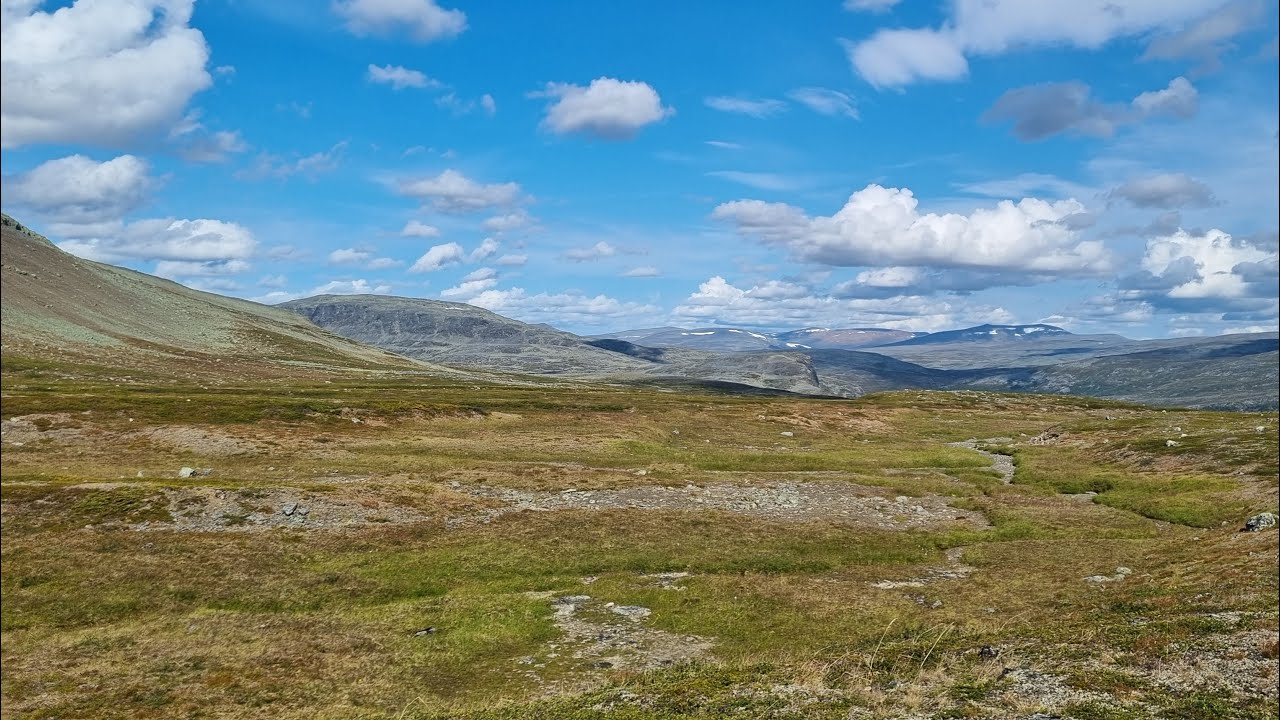 The Unrealest Thing - K&auml;sivarsi Wilderness Area 2021