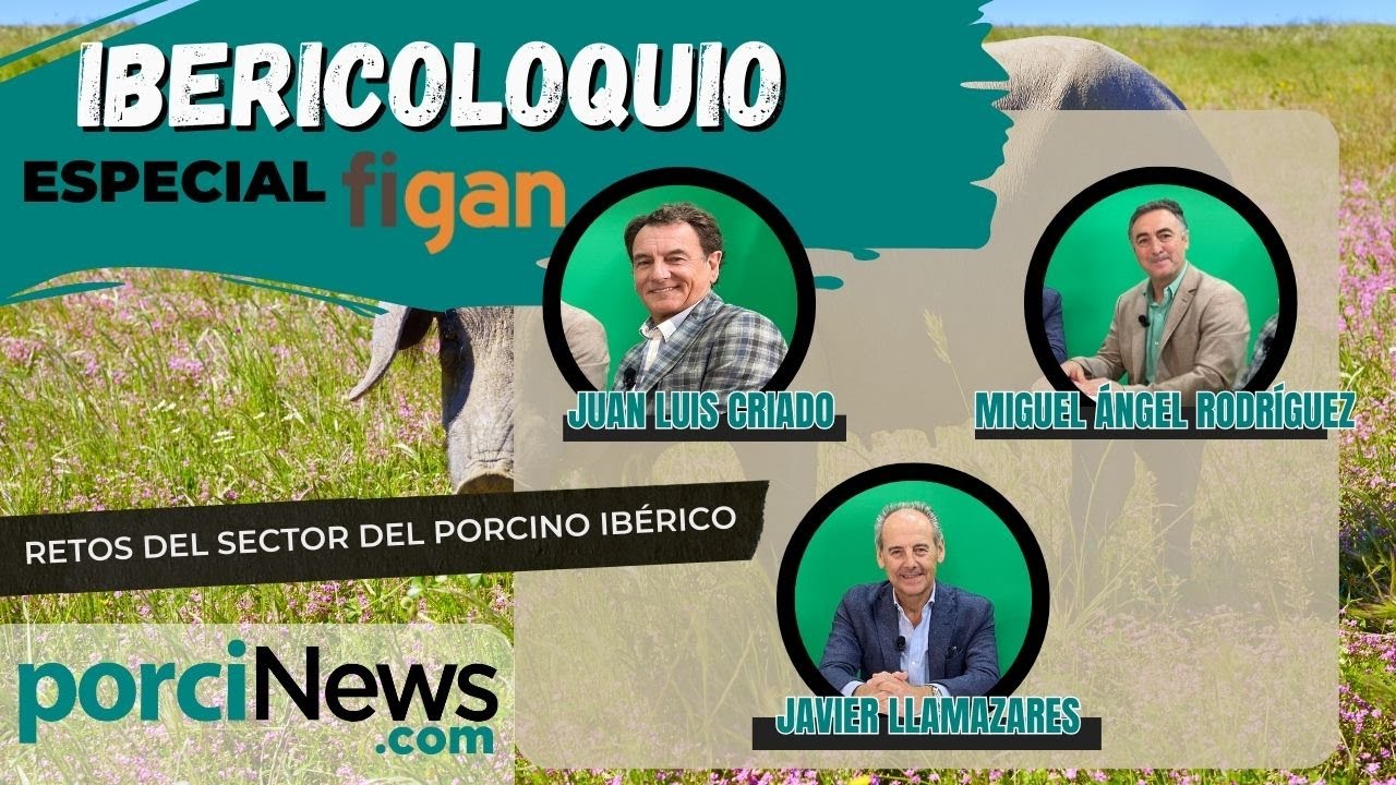 Ibericoloquio - Conversando sobre los retos del sector del Porcino Ibérico