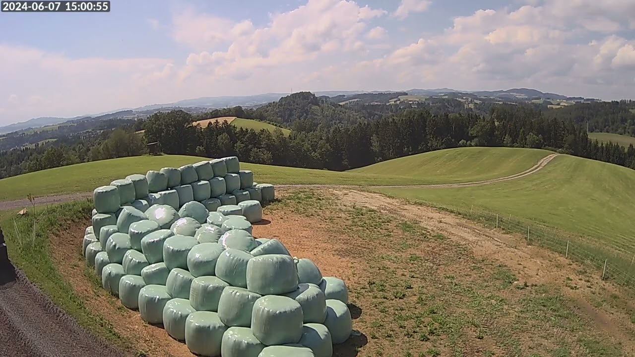 Ernte, 2ter Schnitt, Juni.2024, Zuhause, 12ha