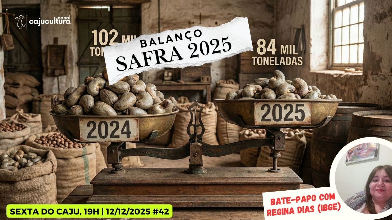 BALANÇO DA SAFRA DE CASTANHA DE CAJU 2025 (SEXTA DO CAJU - 42ª EDIÇÃO )